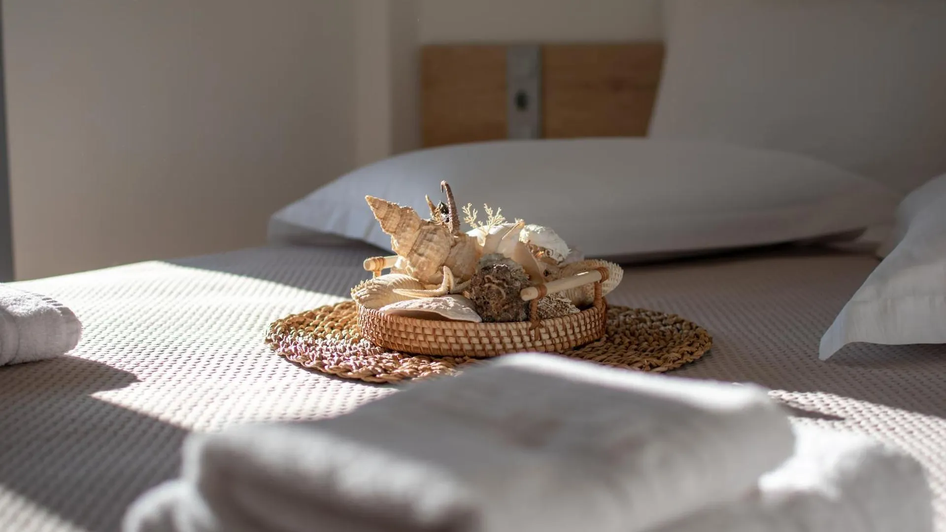 Magdalena Seaside Apartments Νέα Ρόδα